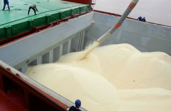 Exportação brasileira de arroz beneficiado cai 12,7% em 2025