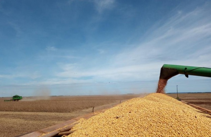 Setembro registra queda de 10,5% no VBP de Mato Grosso do Sul