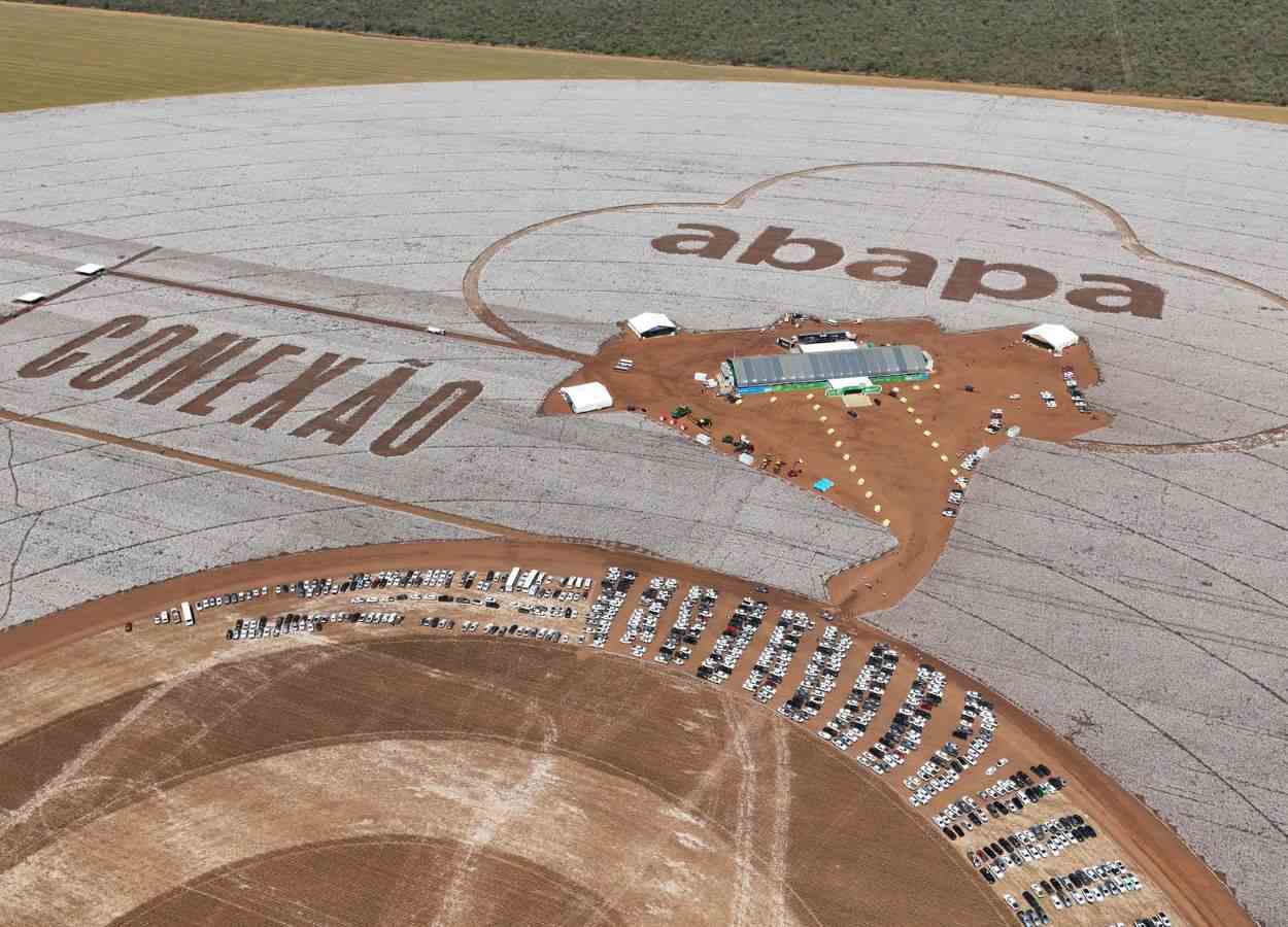 Dia do Algodão 2026 debate ciência e inteligência de mercado