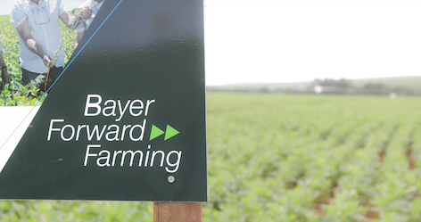 Programa de agricultura sustentável da Bayer completa 5 anos com novas fazendas modelo