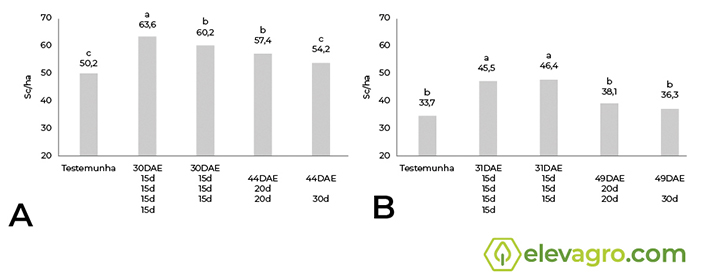 Figura 11 - Produtividade (sc/ha) da cultivar BMX Lança Ipro semeada em 26/10/2019 (A) e BMX Lança Ipro semeada em 12/11/2019 (B) com diferentes momentos do início, número e intervalos entre as aplicações dos fungicidas. Itaara, RS. *Programa fungicida utilizado: 30/31 e 44/49 DAE - Trifloxistrobina + Protioconazol + Bixafen + Mancozebe; 15 e 20d - Picoxistrobina + Tebuconazol + Mancozebe; 15d - Piraclostrobina + Fluxapiroxade + Epoxiconazol; 15 e 20 e 30d - Picoxistrobina + Ciproconazole + Fenpropimorfe; 15d - Trifloxistrobina + Ciproconazol + Clorotalonil + Difenoconazole