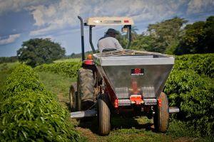 ​Marispan destaca na Expocafé linha de pá carregadeira, adubadeiras e carretas distribuidoras de fertilizante para café