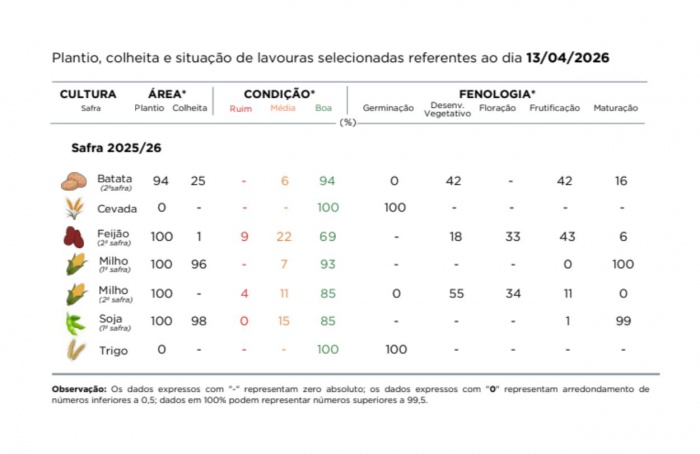 PR Safra 2025/26: estiagem impacta milho e feijão