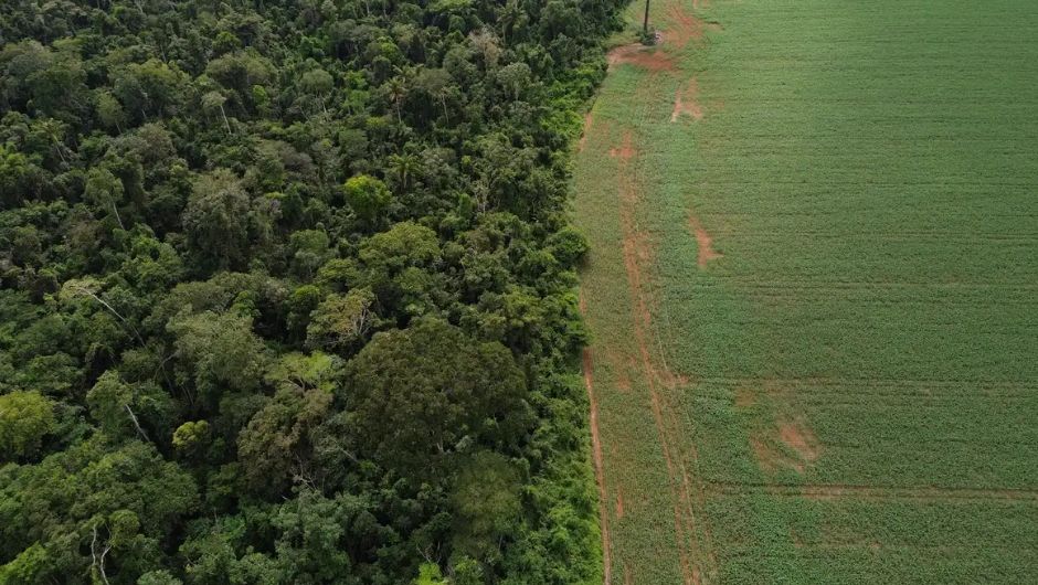 Foto: Fernando Frazão