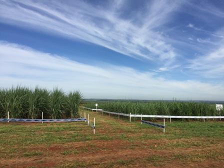 ​Ourofino Agrociência promove edição especial do AgroEncontro