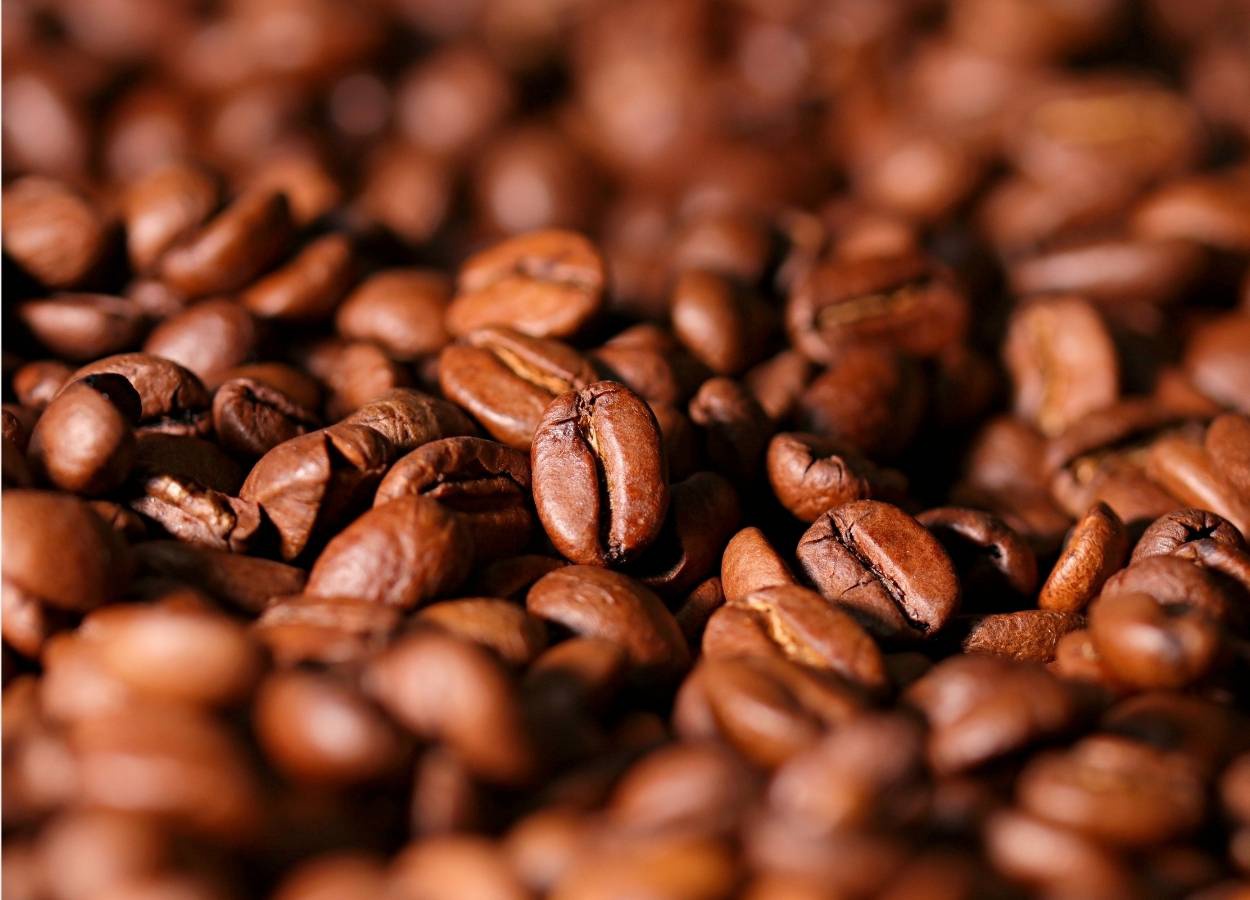 Café brasileiro registra maior VBP da história em 2025