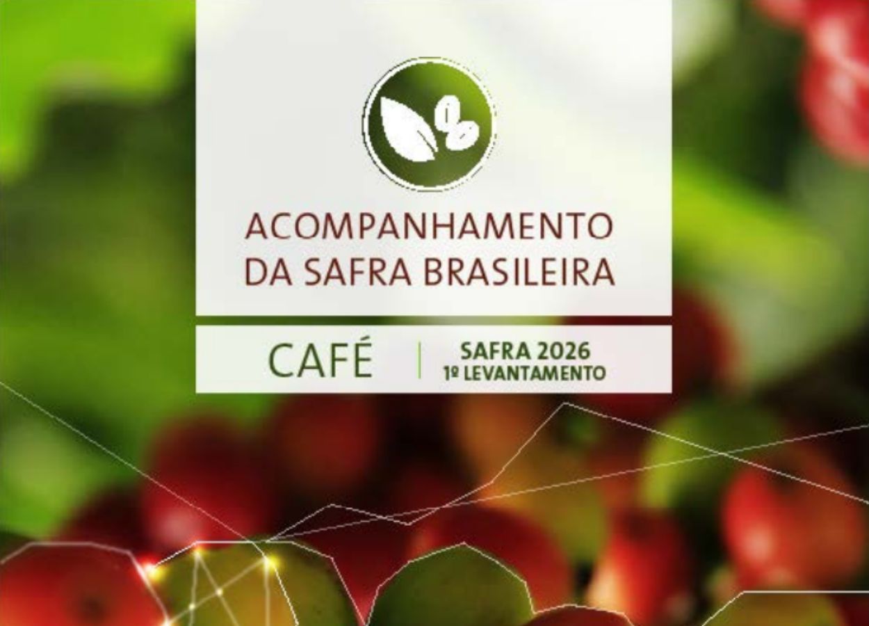 Produção de café deve crescer 17,1% em 2026, aponta Conab
