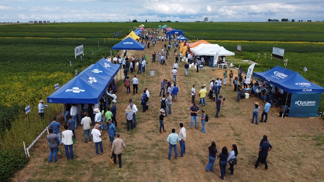 Dia de Campo da Competição de Cultivares de Soja da AgroBrasília 2023 recebe 580 pessoas