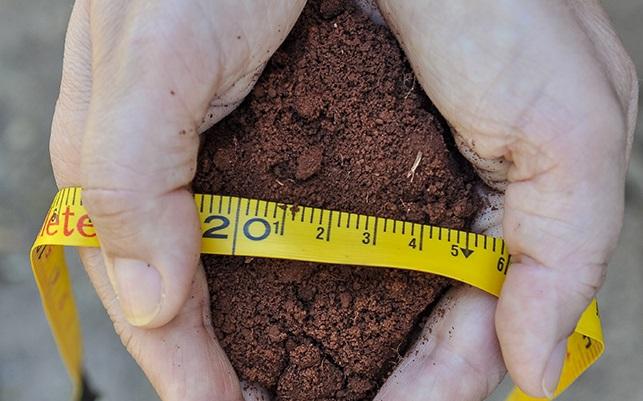 Cientistas desenvolvem tecnologia que faz avaliação biológica do solo