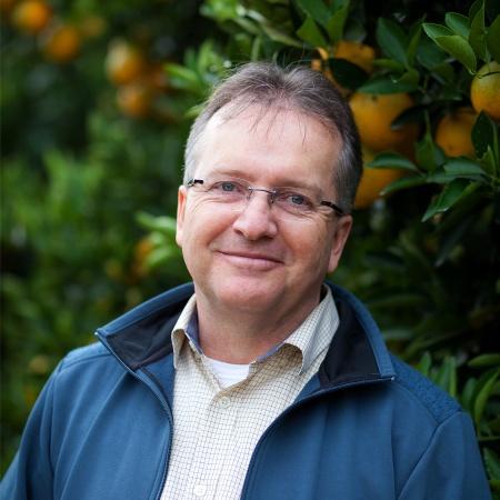 A produção e a comercialização de tangerinas