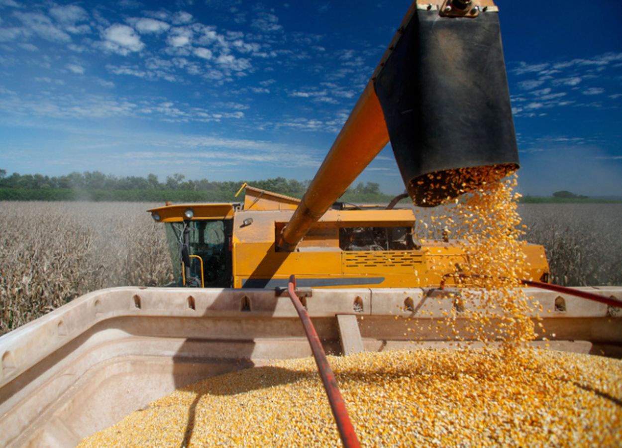 Crédito rural empresarial soma R$ 107,1 bilhões no trimestre