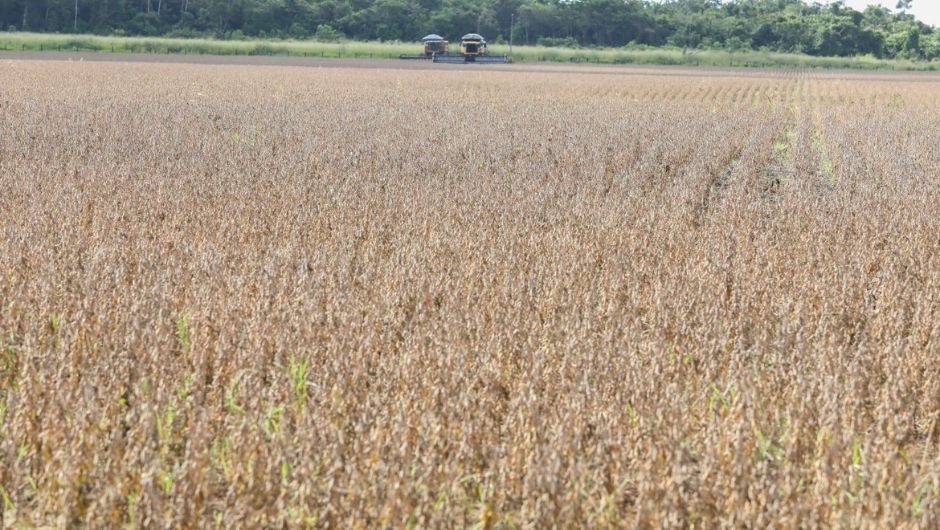 Foto: Marcos Santos/Ag. Pará