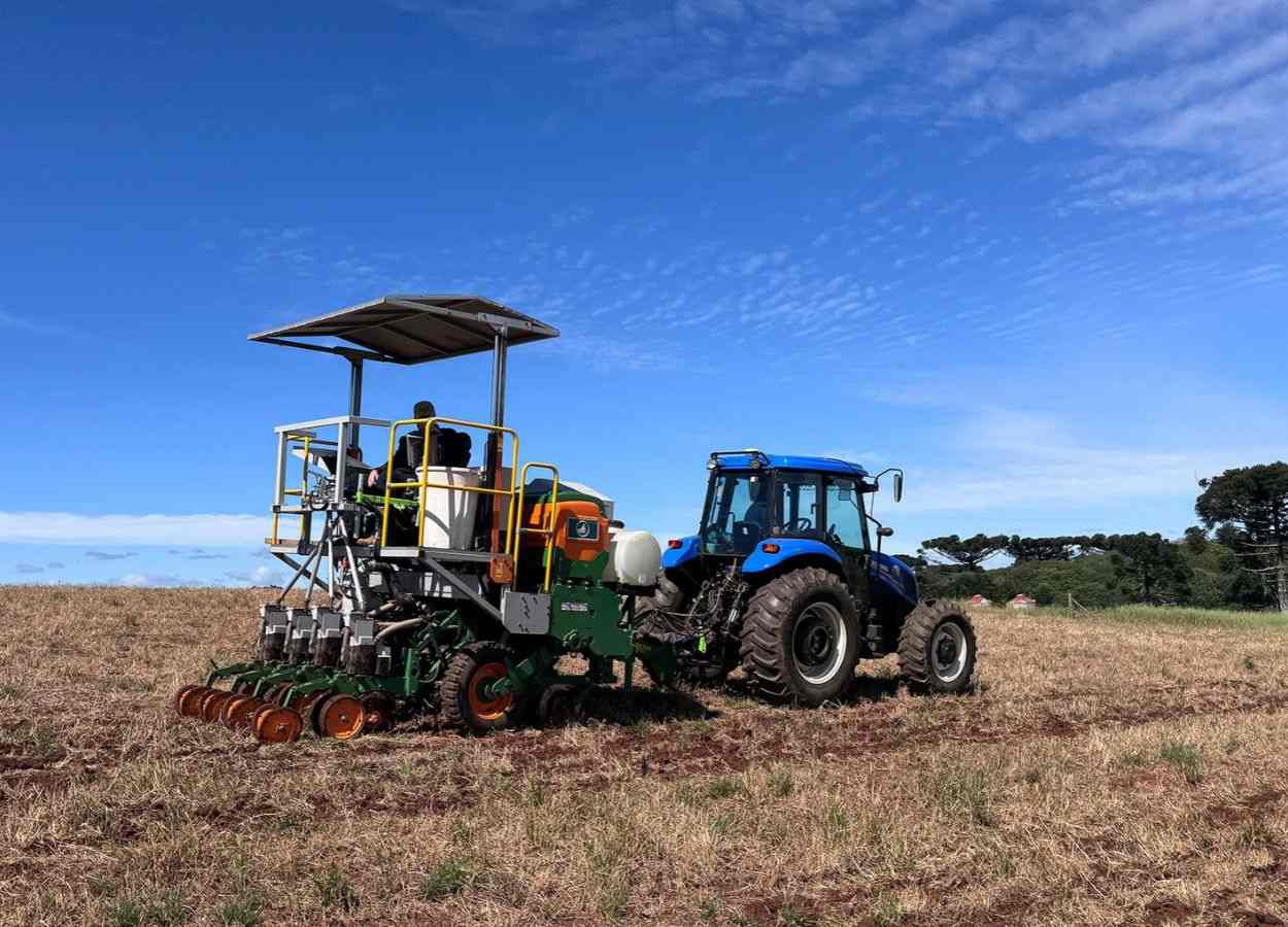 Copercampos avalia 32 cultivares de soja em áreas de ILP