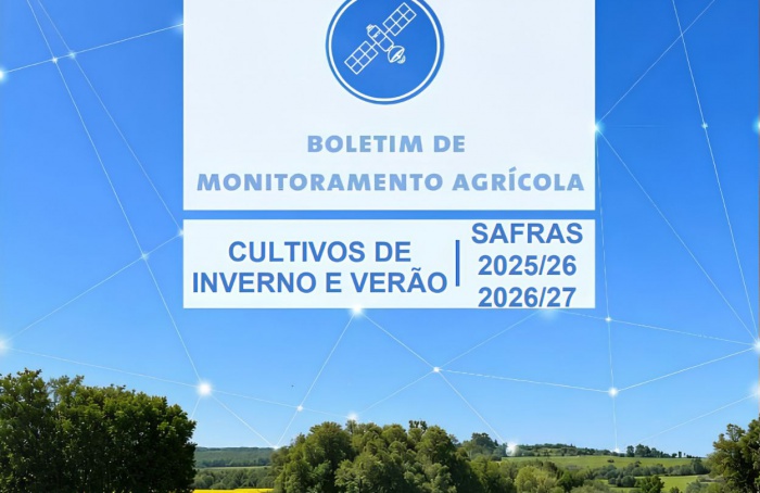 Excesso de chuva prejudica trigo e plantio da soja no sul do país