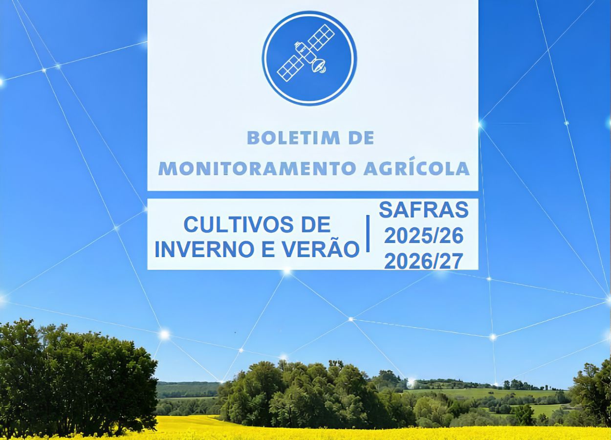 Excesso de chuva prejudica trigo e plantio da soja no sul do país