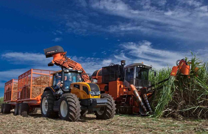 Gestão e tecnologia elevam a eficiência na colheita de cana