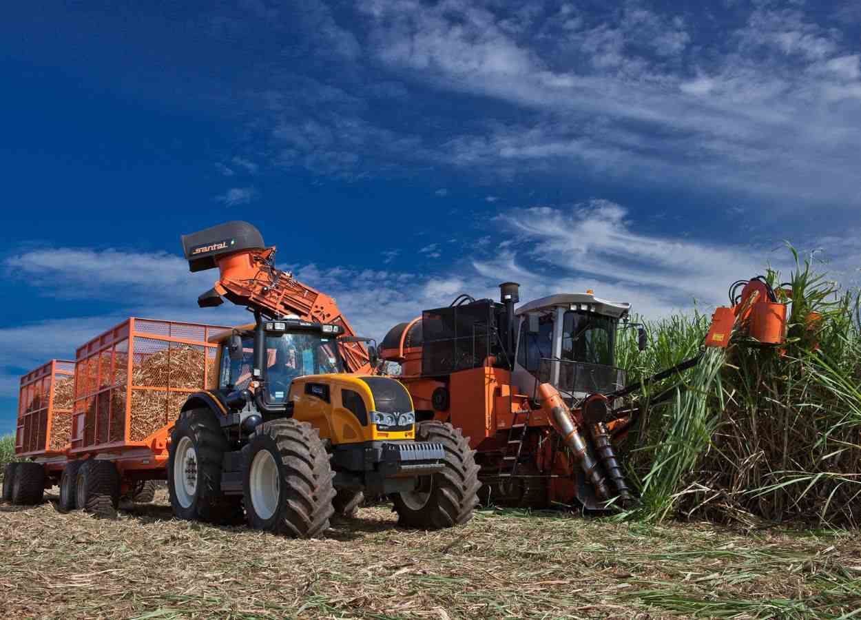 Gestão e tecnologia elevam a eficiência na colheita de cana