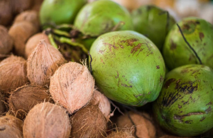 Embrapa busca parceiros para desenvolvimento de soluções para coco e citros