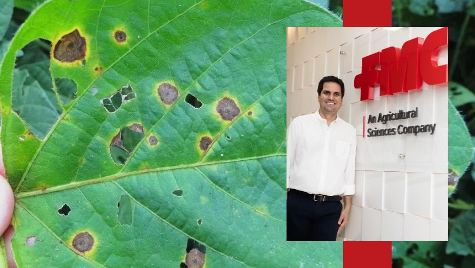 Folha de soja com sintoma de mancha-alvo; foto: Cláudia Godoy (Embrapa)