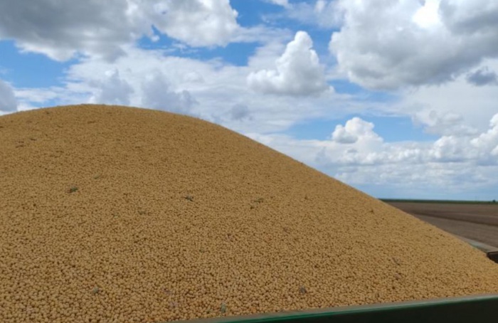 Colheita da soja em MS deve terminar em até 10 dias