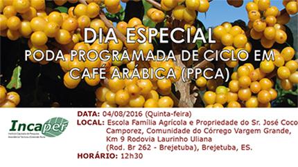 INCAPER promove Dia de Campo sobre Poda Programada de Ciclo de Café Arábica