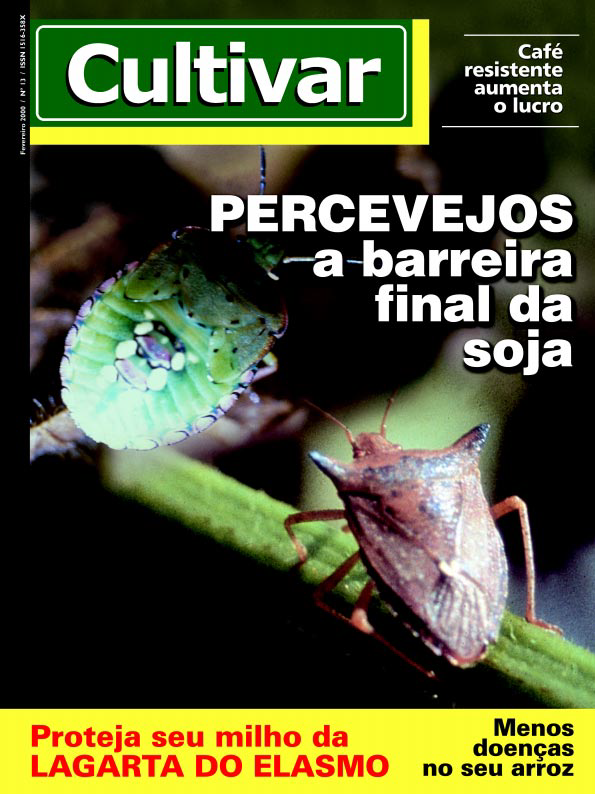 Percevejos: a barreira final da soja