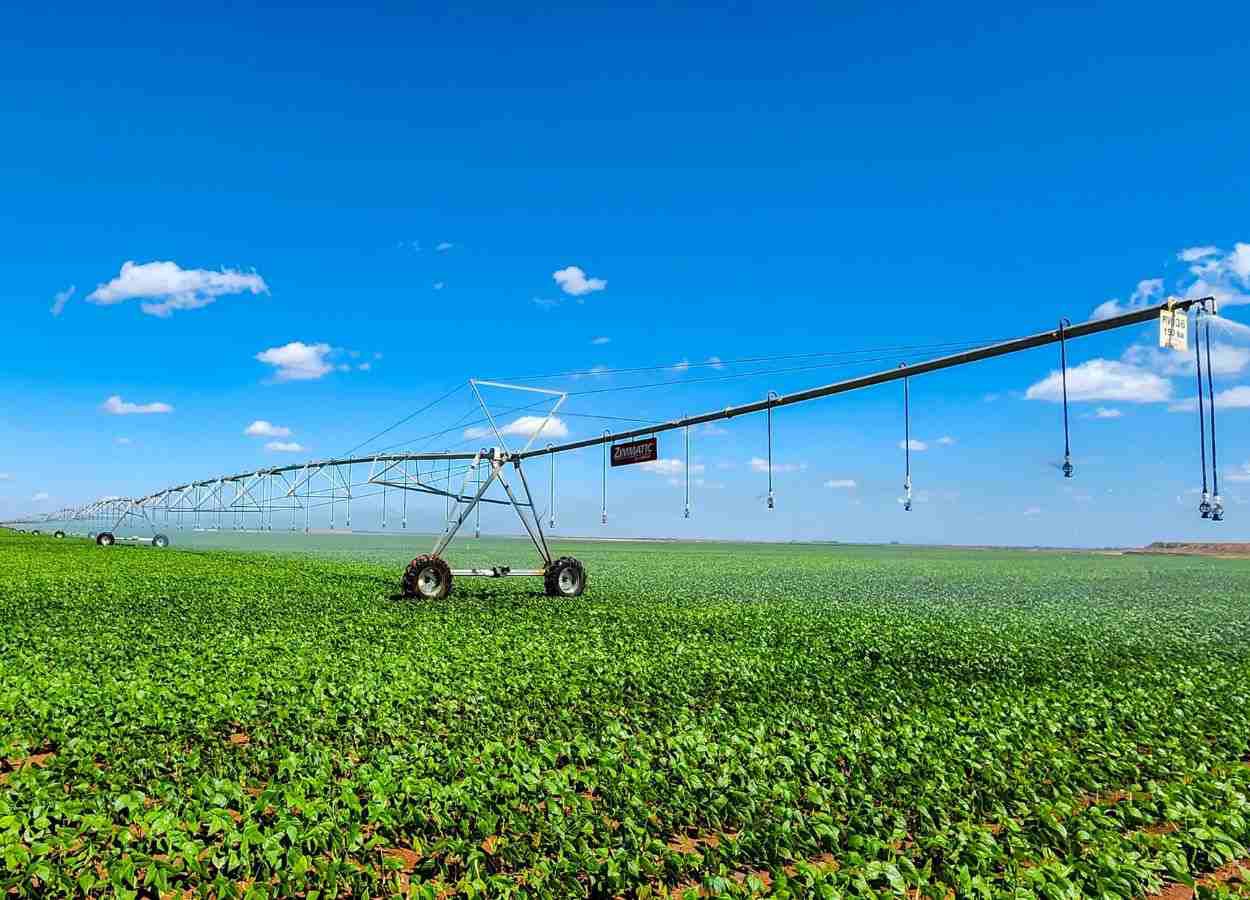Irrigação sustentável avança com decreto em Minas Gerais
