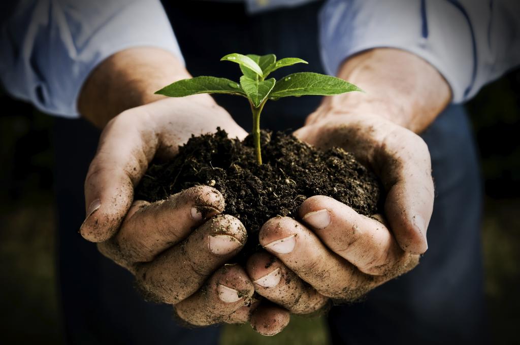 Bayer participa do primeiro Fórum Brasileiro de Biodefensivos