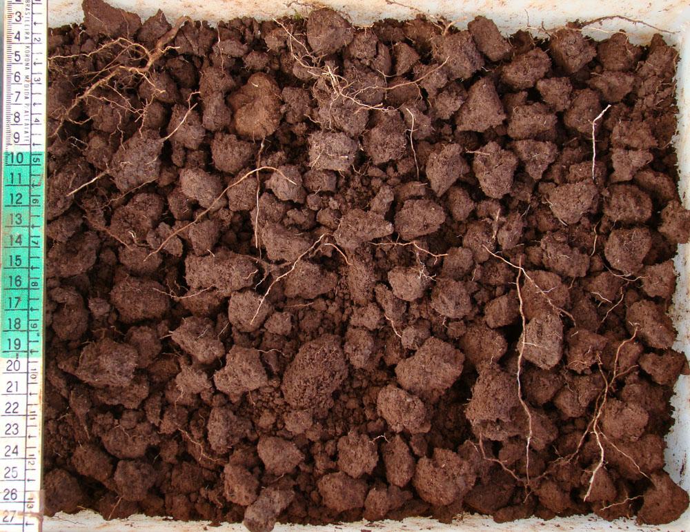 Pesquisa e extensão públicas destacam boas práticas agrícolas no SuperAgro
