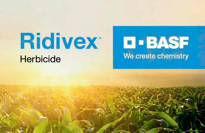 BASF anuncia herbicida Ridivex nos Estados Unidos