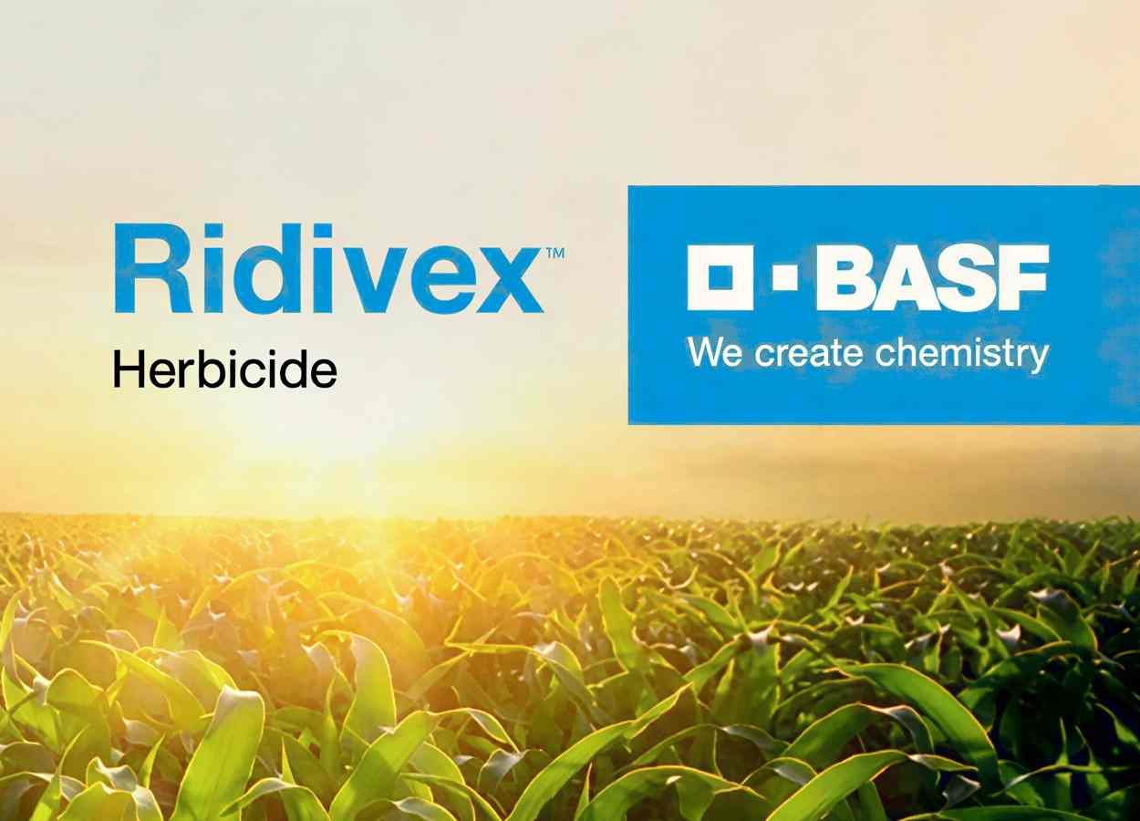 BASF anuncia herbicida Ridivex nos Estados Unidos