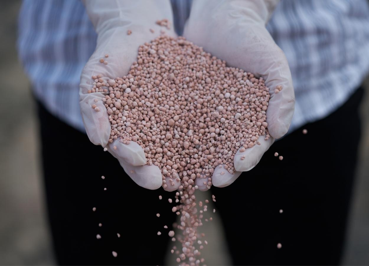 Índice de Poder de Compra de Fertilizantes fecha junho em queda