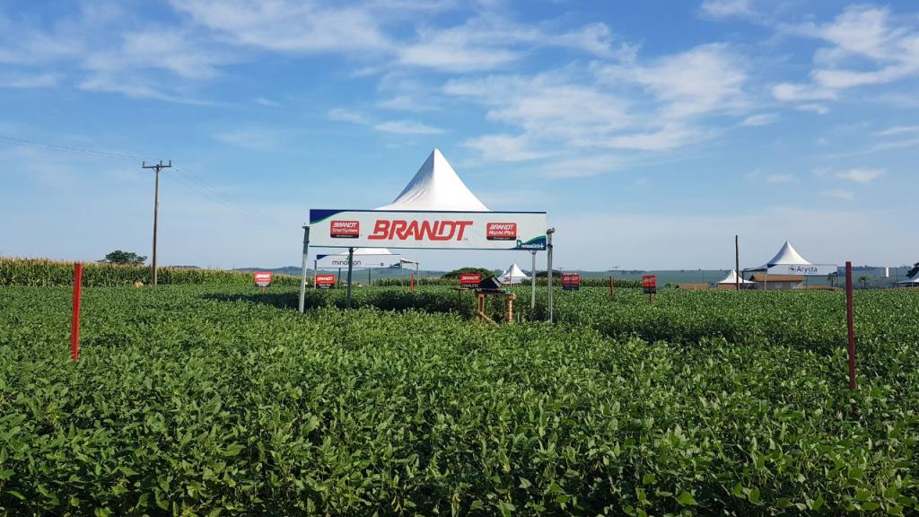 Durante dia de campo da Produza Mais 2018, Brandt do Brasil leva a linha de insumos agrícolas para milho e soja