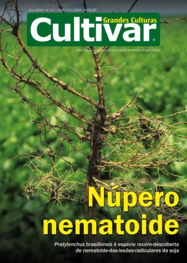 Cultivar Grandes Culturas 317