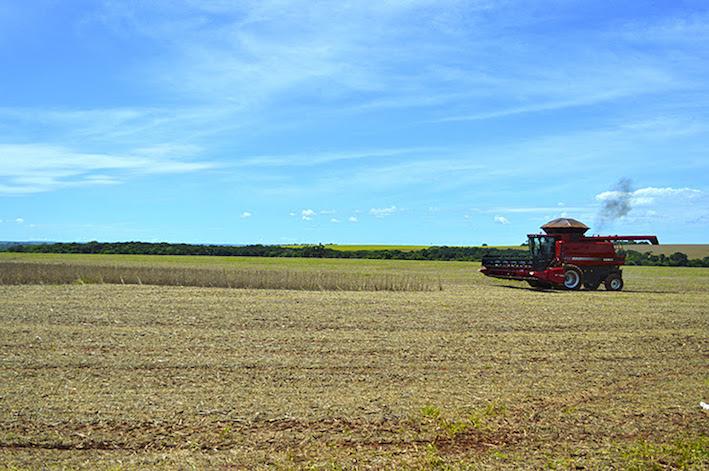 Colheita da soja atinge 10% em MS, alcançando 240 mil hectares