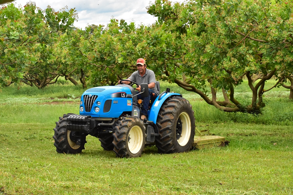 Test Drive tractor R65 in table fruit production