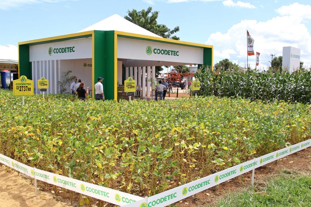 Agrotins: Coodetec destaca os melhores produtos no Tocantins
