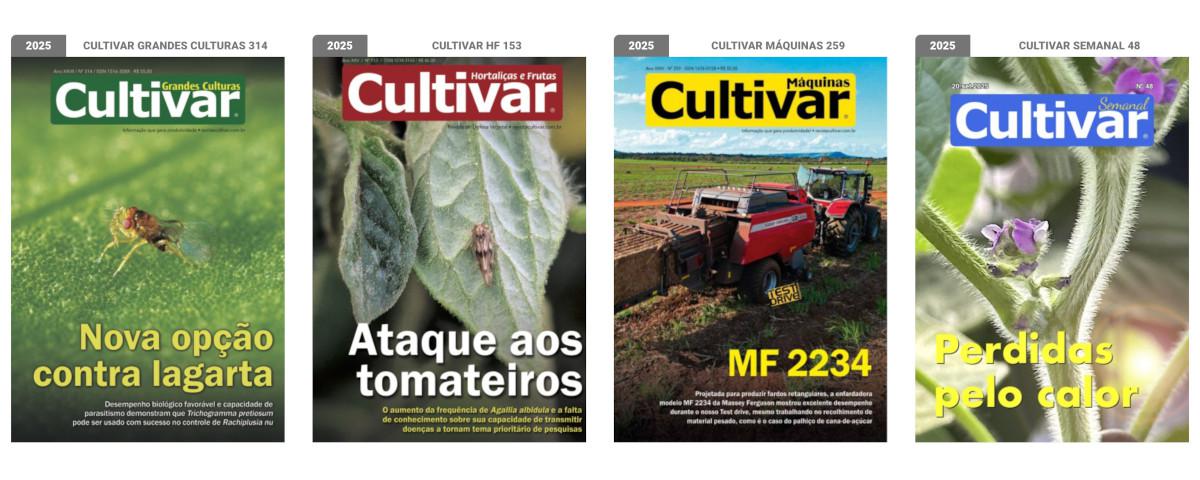 Capas - 2025
