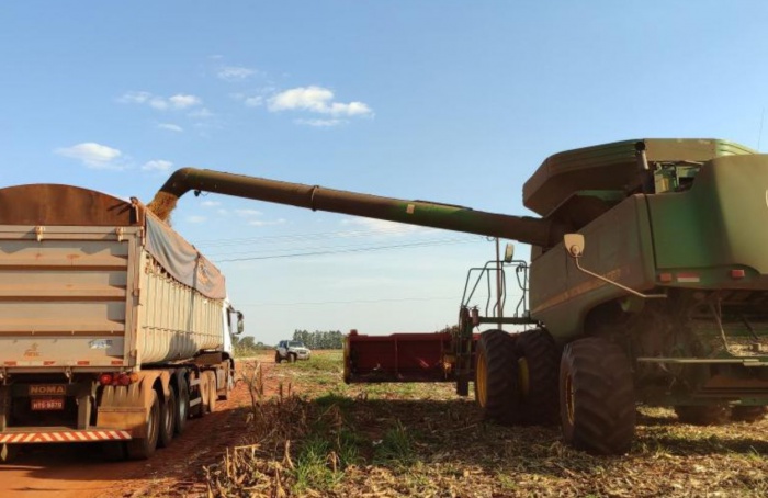 Produção agropecuária de MS movimenta R$ 76 bilhões