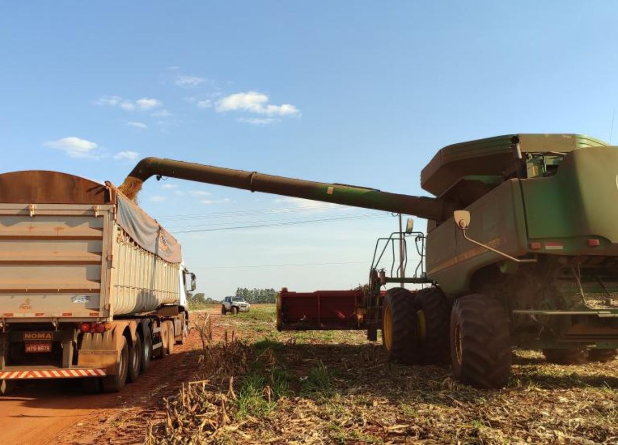 Soja e milho lideram o aumento de 24% do valor gerado pelo campo em setembro de 2025