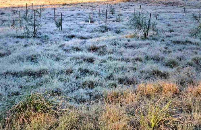 Frio e geada retornam ao Rio Grande do Sul nos próximos dias