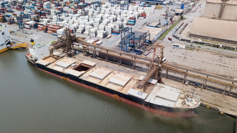 Segunda safra de milho movimenta o mercado de frete marítimo nos portos do Paraná