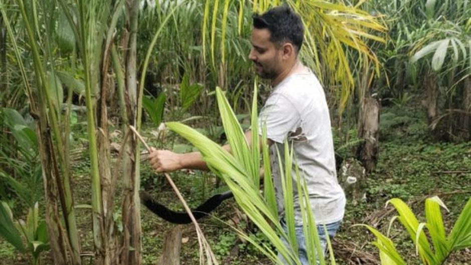 Agnaldo realiza o manejo da área agroflorestal, prática essencial para o desenvolvimento das espécies e a manutenção da biodiversidade local