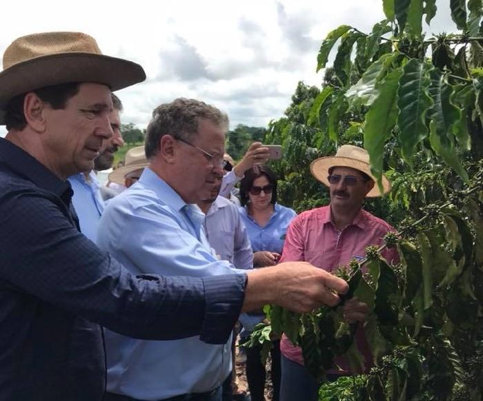 Comitiva do Mapa conhece trabalho da pesquisa com café robusta em Rondônia