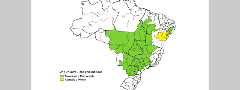 Conab analisa condições dos cultivos de segunda e terceira safras