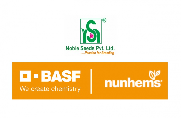 BASF Nunhems anuncia compra da indiana Noble Seeds