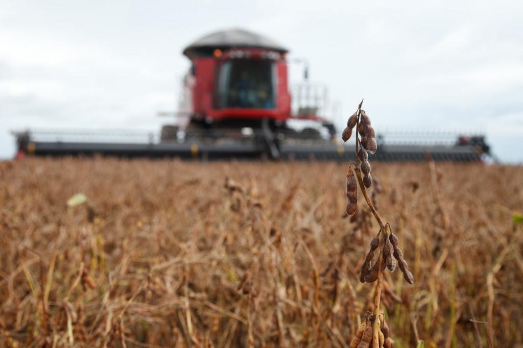 Agricultores estão atentos à adaptabilidade da soja ao clima para aumentar resultados