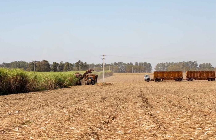 Vendas de etanol no mercado interno batem recorde em agosto