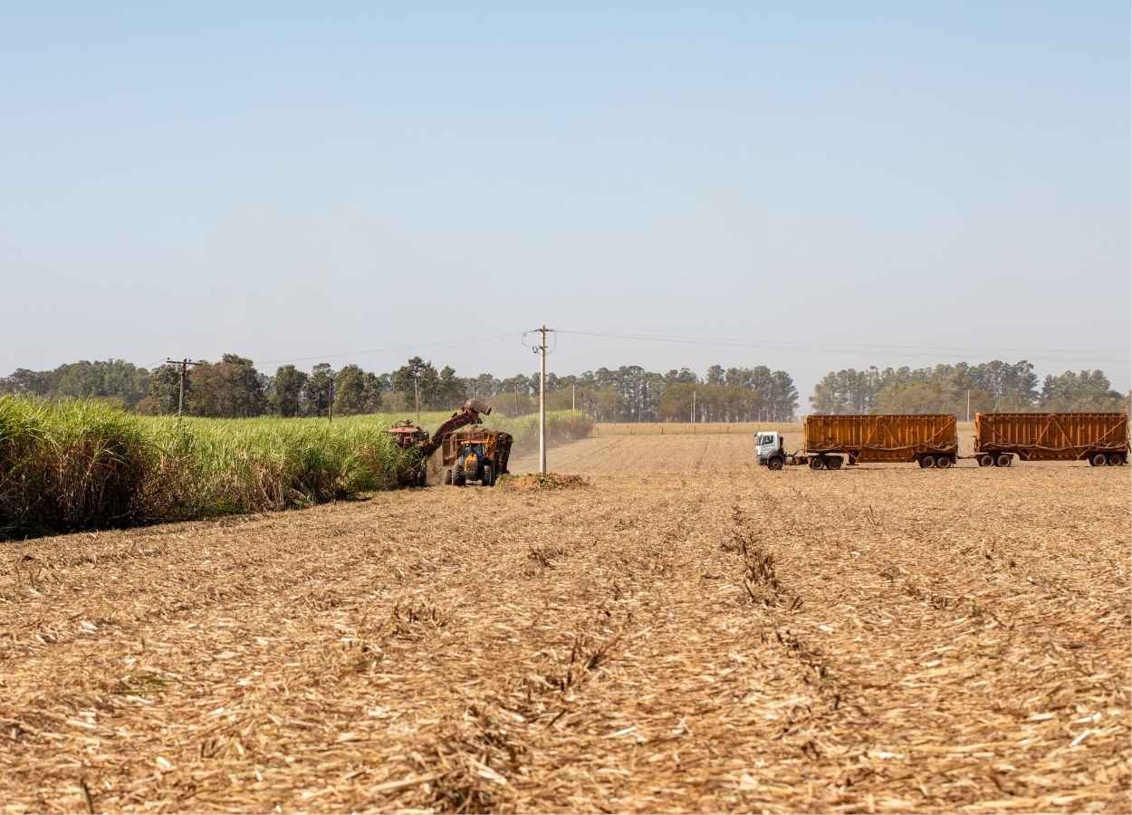 Vendas de etanol no mercado interno batem recorde em agosto