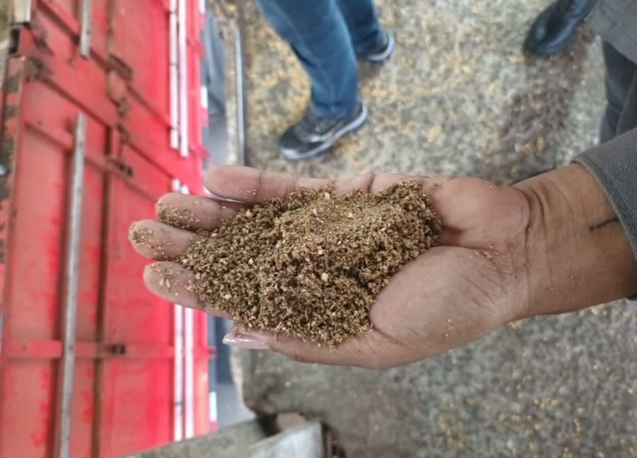 Ação apreende carga irregular de farelo de soja em Paranaguá